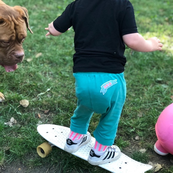 Meet your Posher, Cloe - Picture 1 of 1